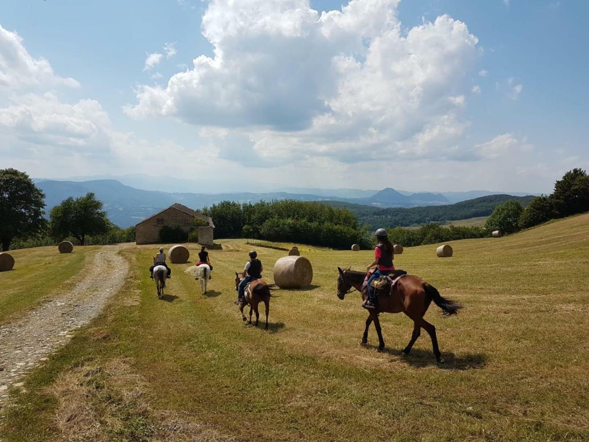 サッソ・マルコーニ Agriturismo Piccola Raiedaヴィラ エクステリア 写真