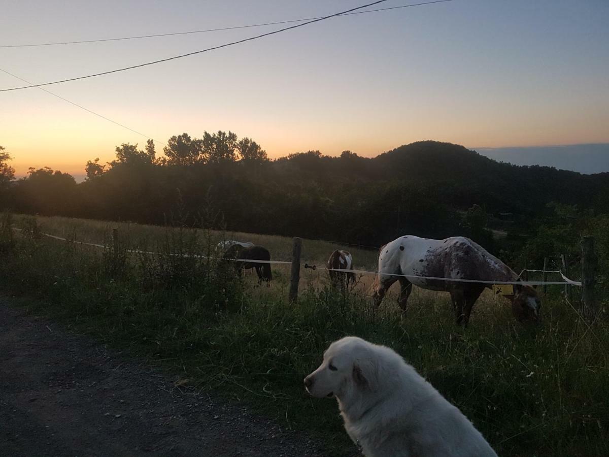 サッソ・マルコーニ Agriturismo Piccola Raiedaヴィラ エクステリア 写真